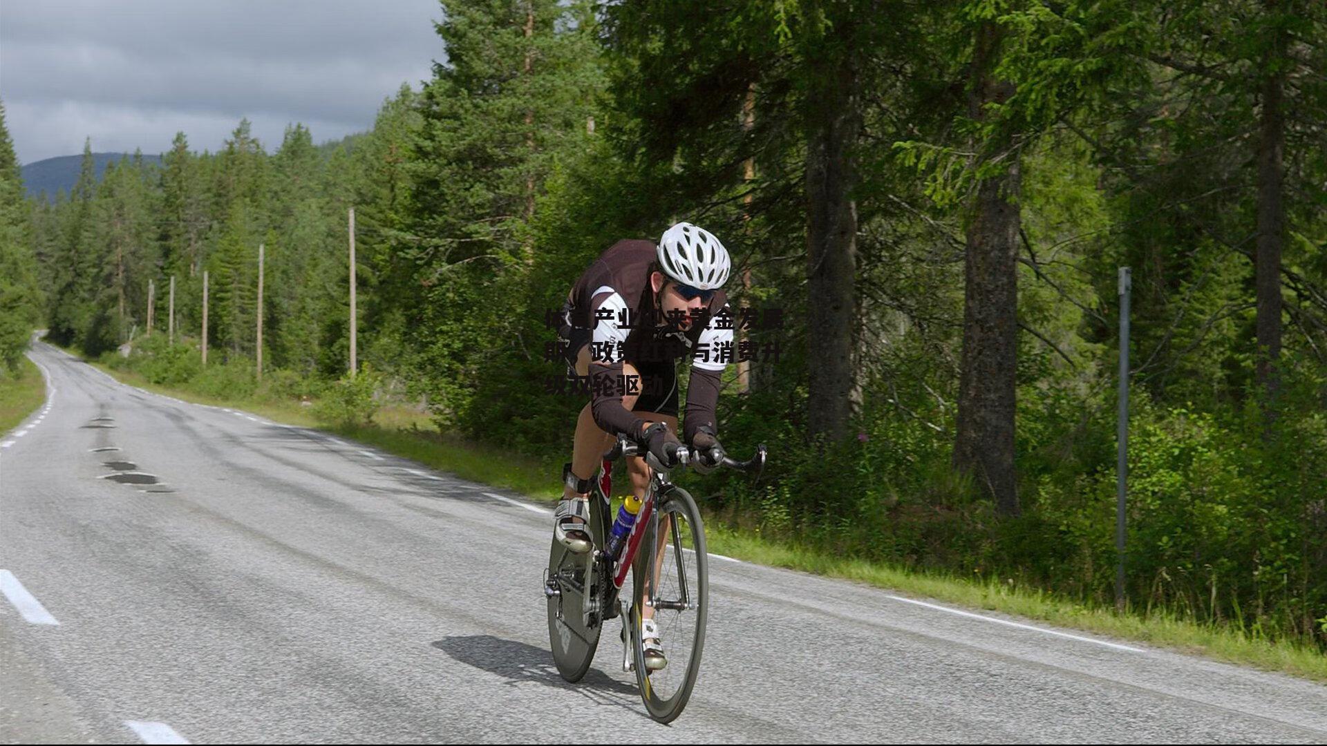 体育产业迎来黄金发展期，政策红利与消费升级双轮驱动